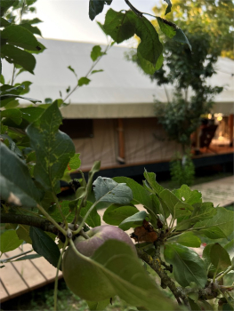 9 Tent-house (с фурако) — фото 2