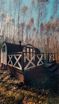 Банька в малиннике — фото 4