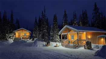 Коттедж стандарт — фото 10