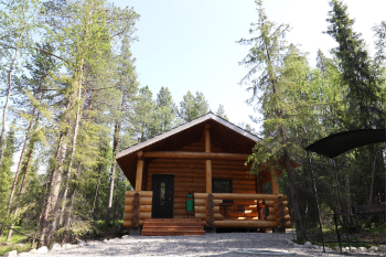 Бревенчатый дом — фото 11