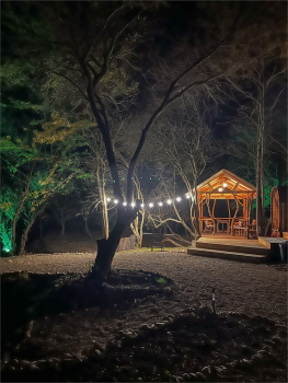 Дом Лешего — фото 17