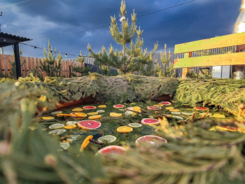 Домик Чайный — фото 18