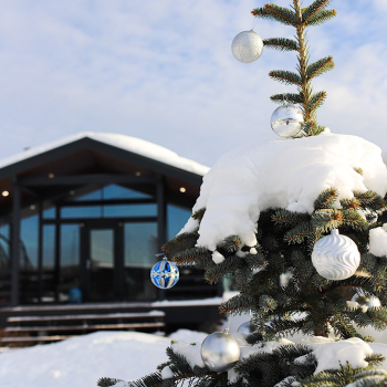 Lato-65 Plus — фото 2