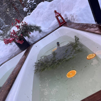 Дуплекс с баней на компанию до 6 гостей — фото 4