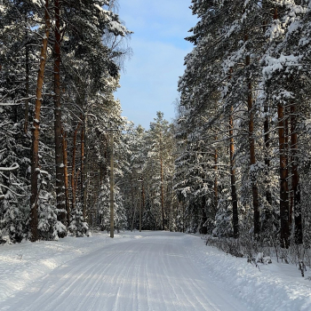 Дуплекс с баней на компанию до 6 гостей — фото 6