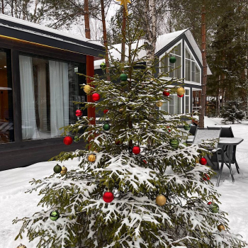 Дуплекс с баней на компанию до 6 гостей — фото 14