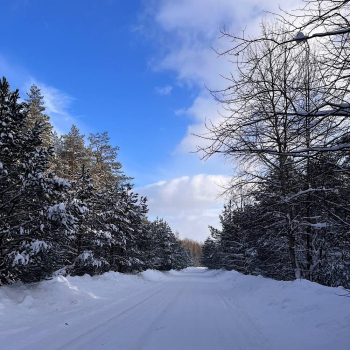 Дуплекс с баней на компанию до 6 гостей — фото 29