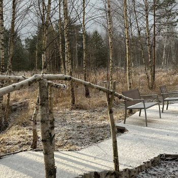 Lato-80 Sauna — фото 27