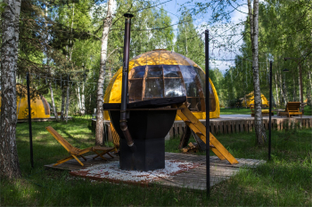 3 сфера "Можжевельник" — фото 3