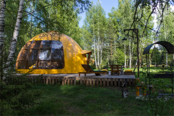 3 сфера "Можжевельник" — фото 2