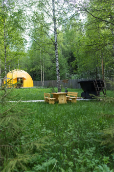 7 сфера "Цветочная поляна" — фото 2