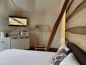 Сфера «Лемурия» — фото 5