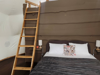 Сфера «Мадагаскар» — фото 8