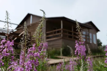 Дом — фото 1