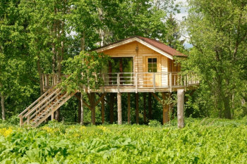 Малый дом на дереве — фото 1