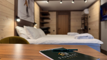 Loft двухместный с террасой — фото 3