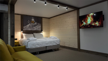 Loft семейный с террасой — фото 4