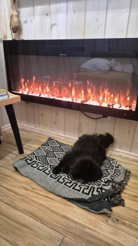 Коттедж Рыжий — фото 28