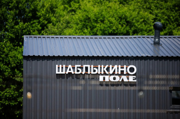 Смородиновый лист — фото 12