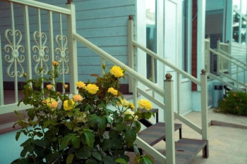 Трехместный номер с отдельными кроватями — фото 5