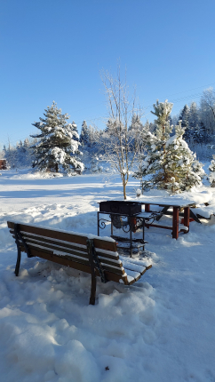 Уэкенд в Коробицыно — фото