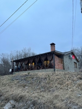 81