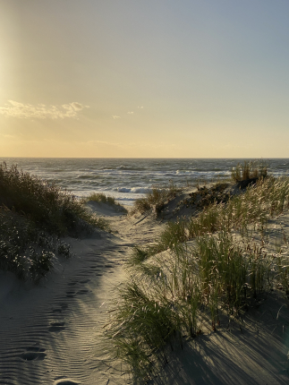 Калининградская область