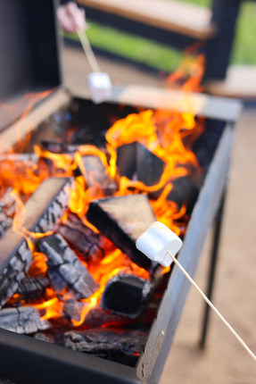 Московская область