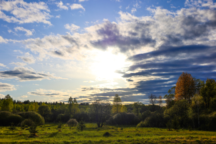 Московская область