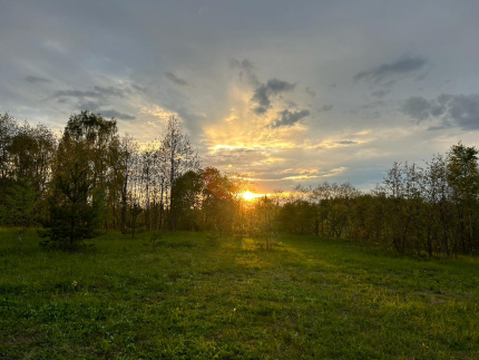 Московская область