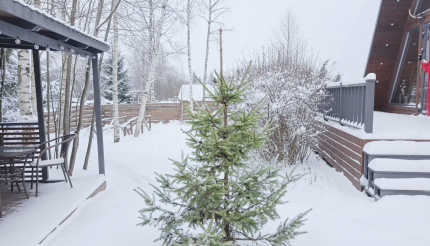 Московская область