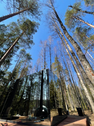 Ленинградская область