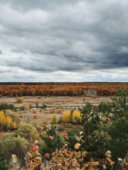 Домик на 4-х взрослых — фото 14