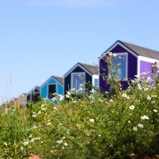 Забронировать Новгородская область