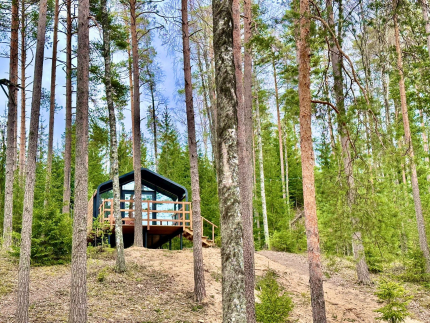 Ленинградская область