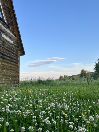 Карелия