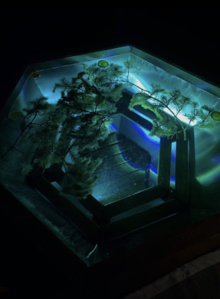 Тульская область