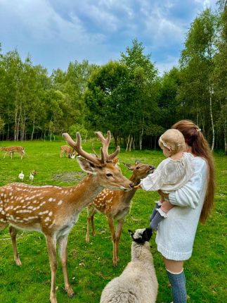 Бэмби Лэнд — фото