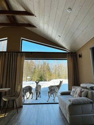 Московская область