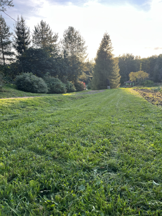 Ленинградская область