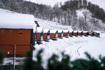 Краснодарский край