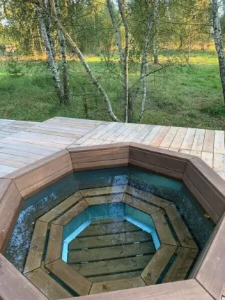 Козы да березы — фото