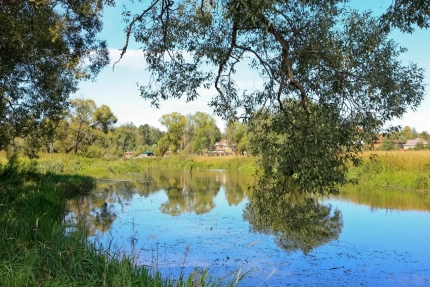 Домики у реки — фото