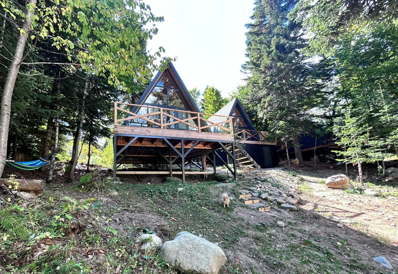 Счастливый лось