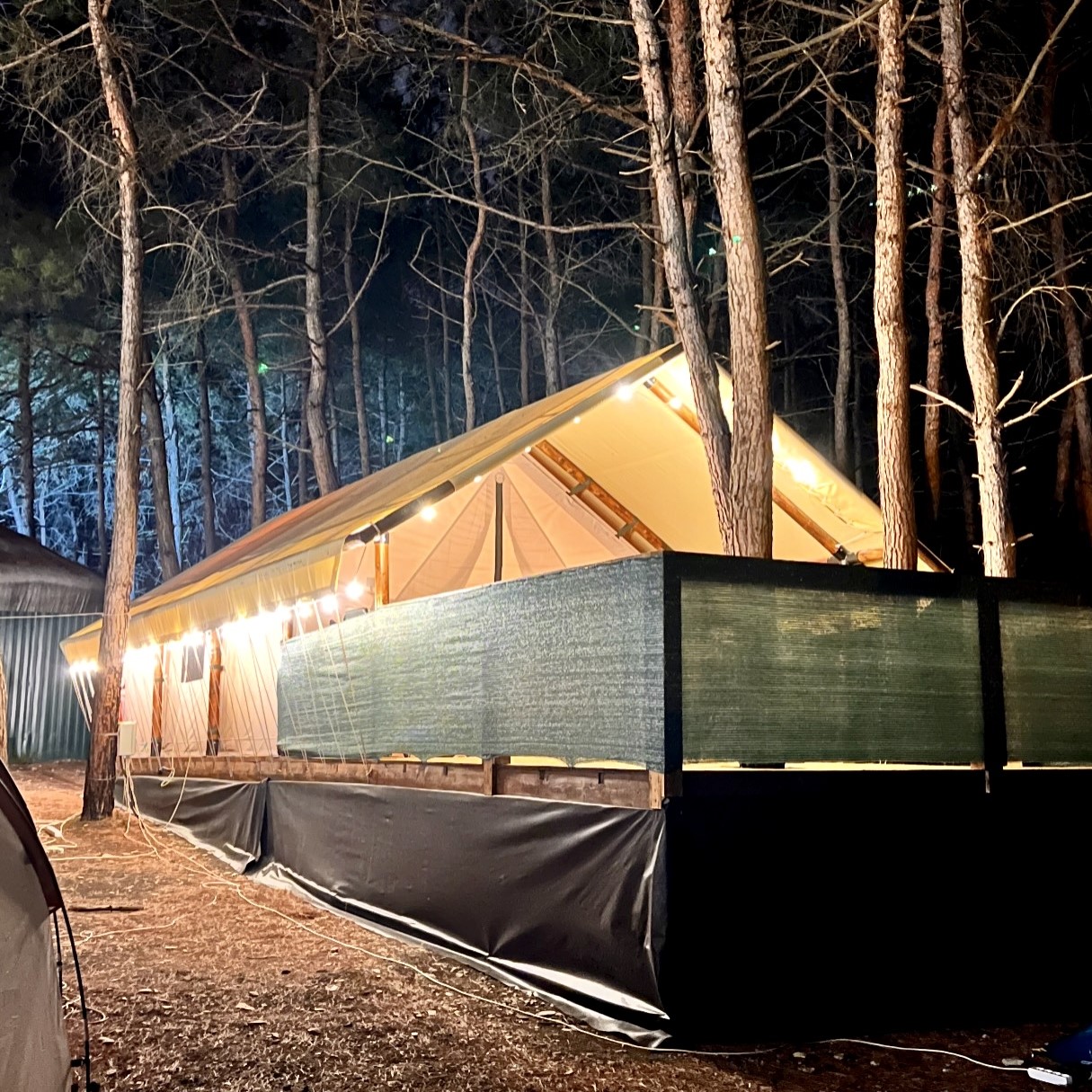 Под соснами