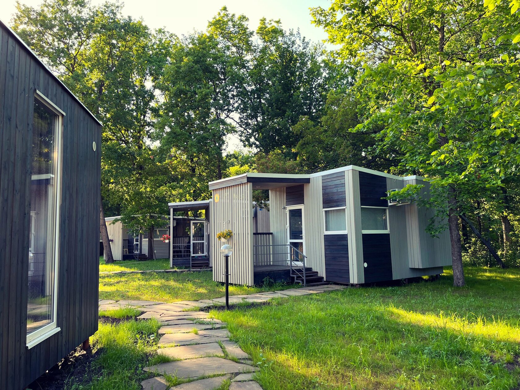 Солнечная поляна