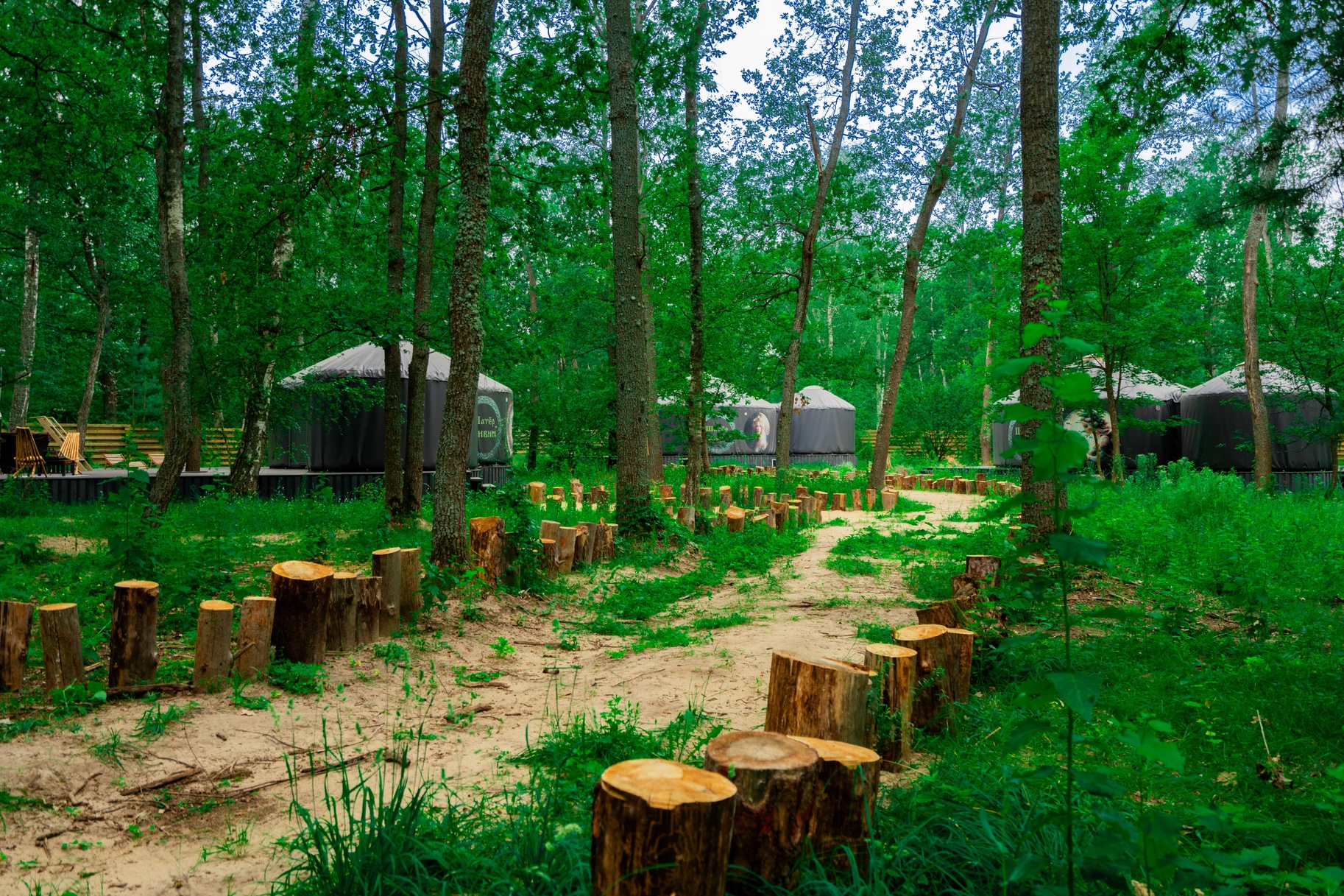 Лесная база 