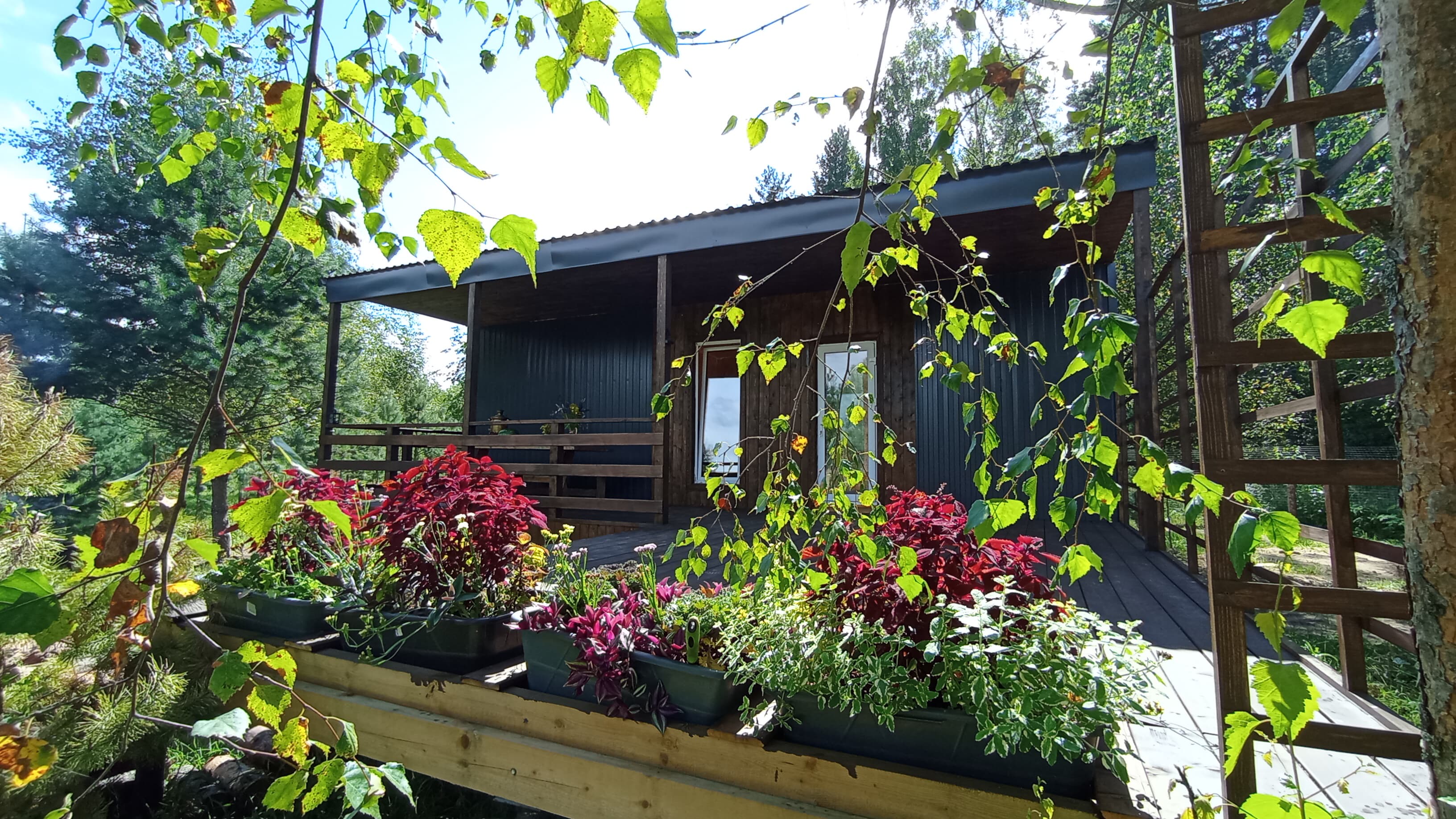 Простокашино