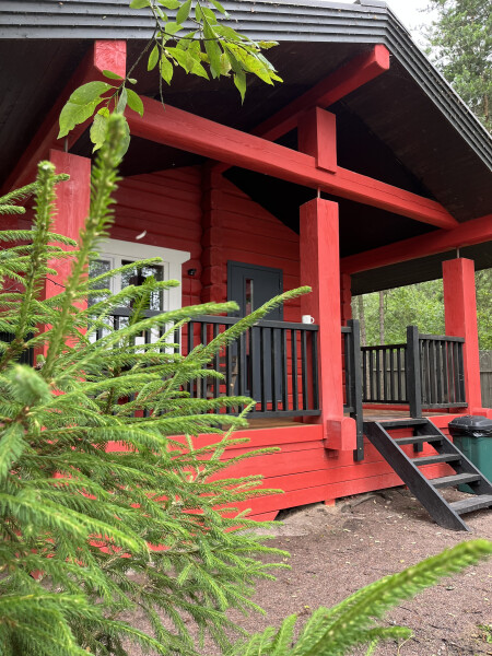 Янтарный берег